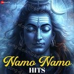 Namo Namo Hits - Amit Trivedi Song Download